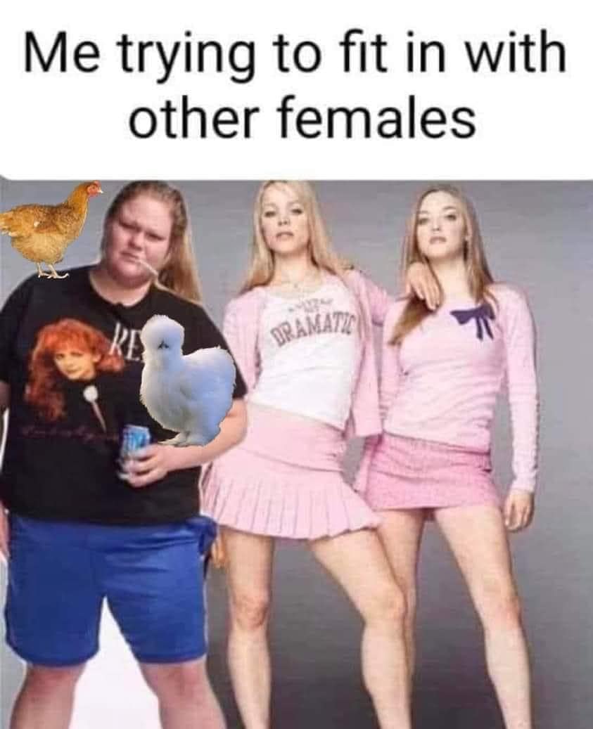 The meme features a photo of the three main characters from the movie "Mean Girls" (Cady, Regina, and Gretchen) from a specific scene. The text "Me trying to fit in with other females" appears above the image. The image is modified to show a chicken (a hen) standing on the shoulder of the character played by Lacey, with the other two characters looking at her with a mix of confusion and annoyance.